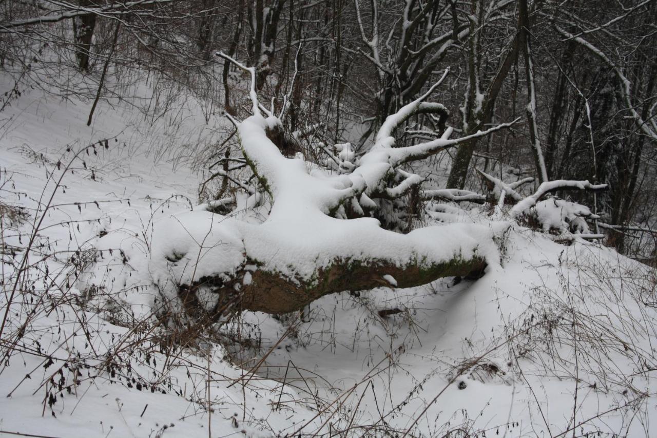 Ferienpark Winterberg Luaran gambar